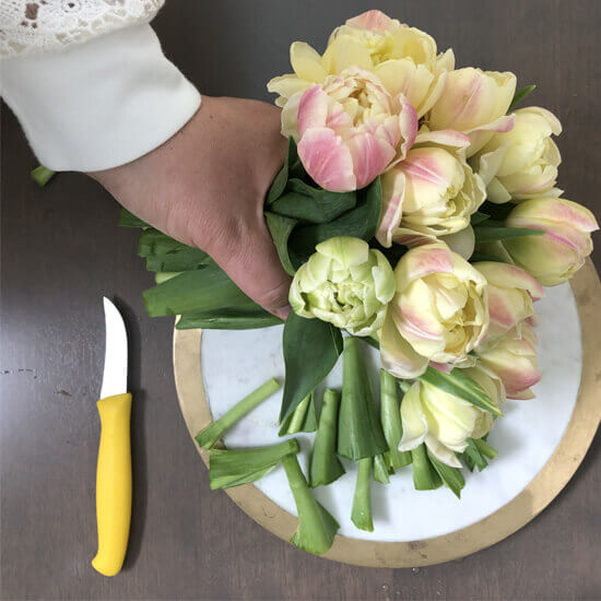 How to use a floral knife, How to use a floral knife 🌷Tulip Tuesday Tips  for the Tulip Tribe🌷, By Floral Design Institute