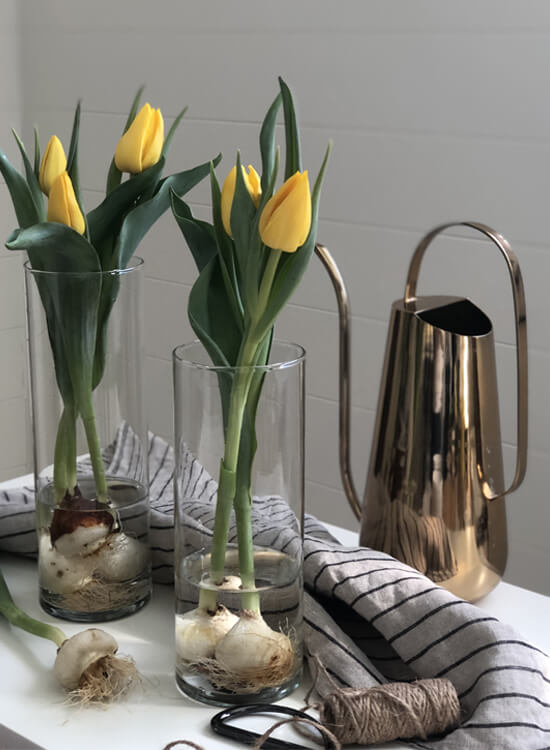 Tulips: perfect table decoration - Canadel's blog