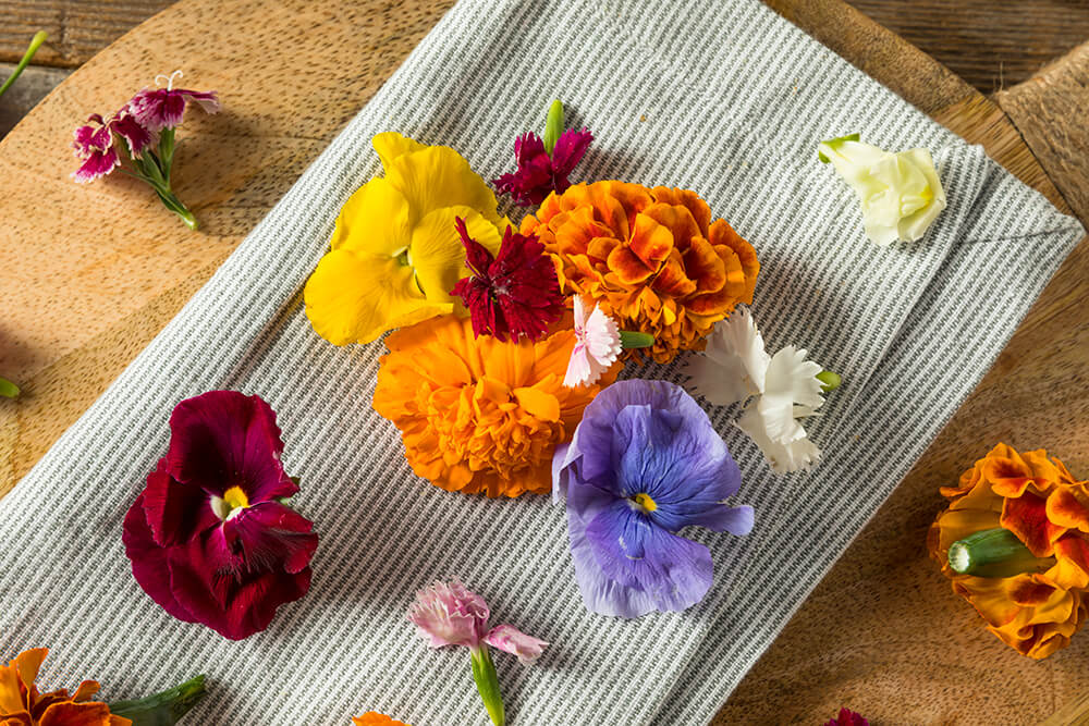 Mocktail Garnish Delights: Add Touch of Edible Flowers To Your